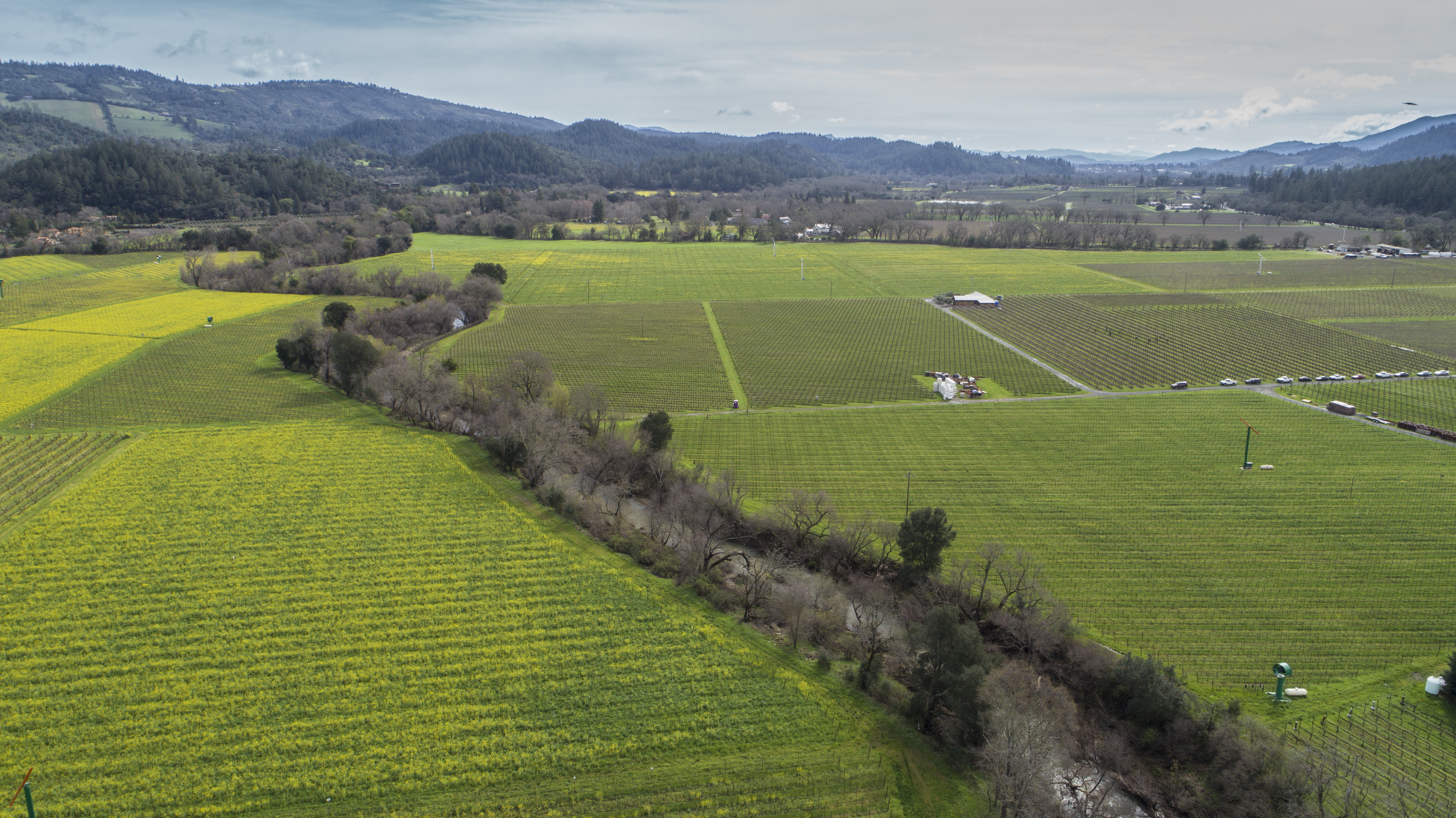 Napa County has a reputation as a premier wine-producing region.